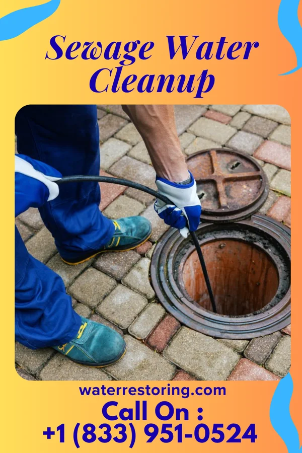 Sewage Water Cleanup in Park View, IA
